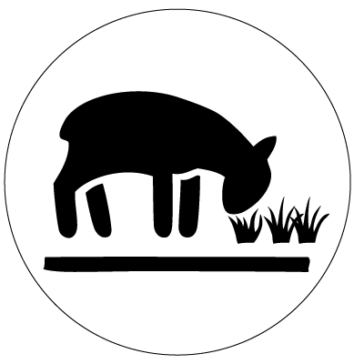 Weidelamm